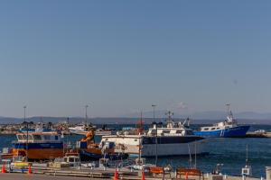 un grupo de barcos atracados en un puerto en Agi Port de Rosas, en Roses