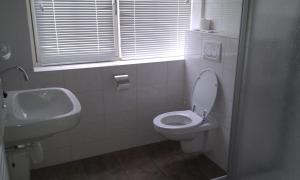 La salle de bains est pourvue de toilettes et d'un lavabo. dans l'établissement Hotel Brasserie Oud Maren, à Maren-Kessel