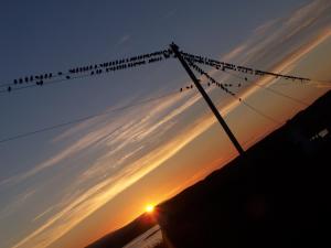 Foto sihtkohas Eabost asuva majutusasutuse Ornum Self Catering Cottage galeriist +40 fotot