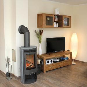 sala de estar con chimenea y TV en Ferienhaus Seestern, en Garrel