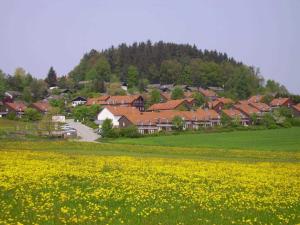 a field of yellow flowers in front of a village at Ferienhaus Meike im Naturpark Bayr in Zandt