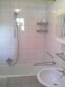 a bathroom with a shower and a sink at Ferienhaus Meike im Naturpark Bayr in Zandt