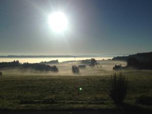 a foggy field with the sun in the sky at Ferienwohnung Ernle in Bad Wurzach