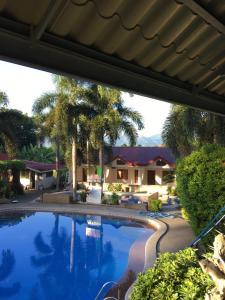 a swimming pool in front of a house with palm trees at Zacona Eco-Resort & Biblical Garden in Santa Monica