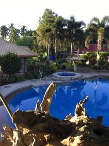 Swimming pool sa o malapit sa Zacona Eco-Resort & Biblical Garden