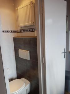 a small bathroom with a toilet and a cabinet at Evy's place in Zandvoort