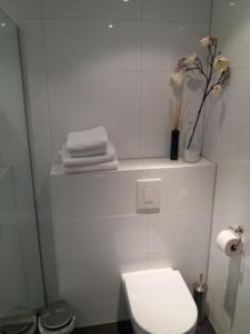 a bathroom with a toilet and a shelf with towels at Marbles Inn in Amsterdam