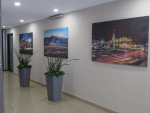 a room with three posters on the wall with potted plants at Hotel HAUS Express in Orizaba