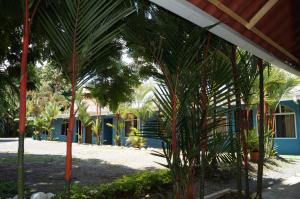 Zahrada ubytování Hotel y Cabinas del Trópico