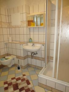een badkamer met een wastafel, een toilet en een douche bij Zimmervermietung zum See in Wolteritz