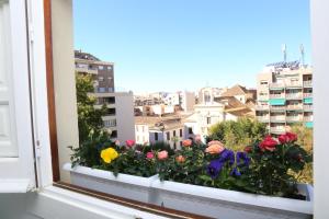 a window box with flowers on a window sill at APARTAMENTO GRANADA CENTRO in Granada