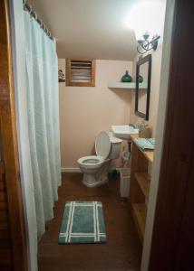 a bathroom with a toilet and a sink at Blue Island Divers Casita Azul in Sandy Bay