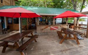 Ristorante o altro punto ristoro di Blue Island Divers Casita Azul