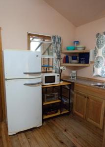 a kitchen with a white refrigerator and a microwave at Blue Island Divers Casita Azul in Sandy Bay