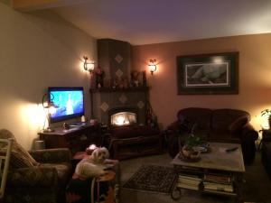 Black Bear Inn في كيتشيكان: غرفة معيشة مع دمية دب على كرسي أمام التلفزيون
