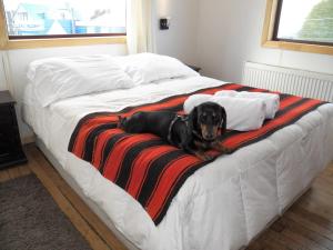 Afbeelding uit fotogalerij van Hain Casa Hotel in Punta Arenas