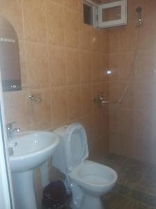 a bathroom with a toilet and a sink at Guest House U Aleny in Gagra