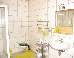 y baño con lavabo, aseo y espejo. en Topfit-Freizeitpark, en Freinberg