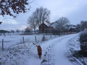 Chalet westerham v zimě