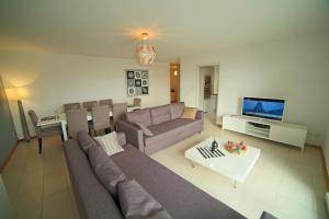 a living room with a couch and a tv at Beau Rivage Appart' in Souffelweyersheim