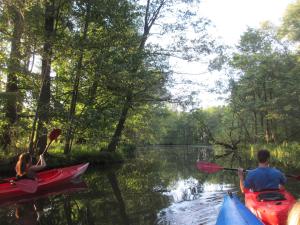 a couple of people in kayaks on a river at Hey Spreewald Ferienapartments in Lübben