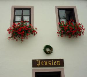 twee ramen met rode bloemen en een bord op een gebouw bij Pension Plešivecká 119 in Český Krumlov