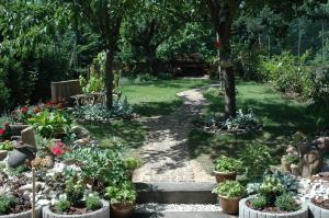 a garden with potted plants and trees and a path at Mirabelle Bed & Breakfast in Ribeauvillé