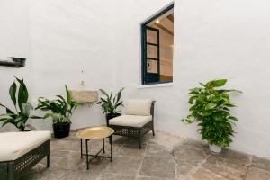 un patio con plantas, una silla y una ventana en HOSPEDAJE PENSIÓN LA ALMOHADA, en Granada