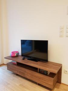a flat screen tv sitting on top of a wooden entertainment center at Ferienwohnung Jolina in Lustenau