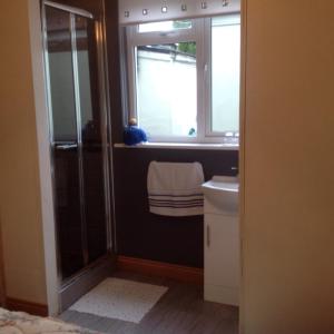 a bathroom with a shower and a sink and a window at Divine Mercy B&B in Knock