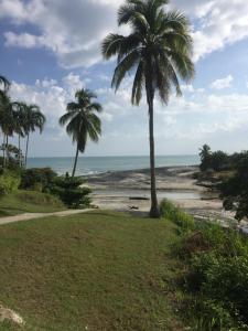 a beach with two palm trees and the ocean at Rio Mar Villages in San Carlos