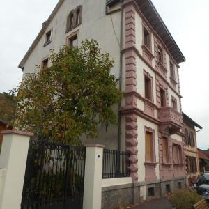 une maison avec un arbre en face dans l'établissement Chez Moera -Sur la Route Des Vins - Kaysersberg, à Kaysersberg