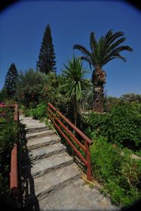 a stone path with a fence and a palm tree at Athina Villas in Istro