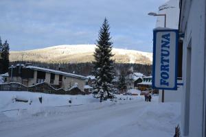 Hostel Fortuna v zime