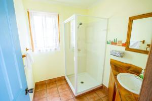 a bathroom with a shower and a sink at Wisteria Cottage in Wyberba