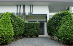 Φωτογραφία από το άλμπουμ του Bai Pai Resort σε Khlung