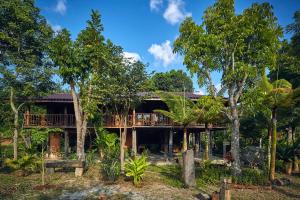 a house in the jungle with trees in front of it at Bambuh Boutique Homestay in Ban Den