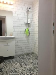 Ένα μπάνιο στο Green Apartment 4-26 Mircea Voda +22 φωτογραφίες
