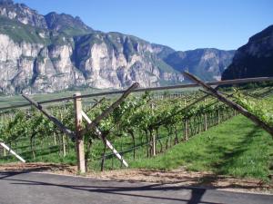 Galeriebild der Unterkunft Agritur Maso Barco in Faedo