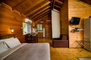 a bedroom with a bed and a television in a room at Nofey Habashan in Lahavot HaBashan