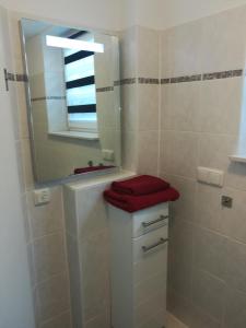 a bathroom with a sink and a mirror and a toilet at Private Apartment Ahlten in Lehrte