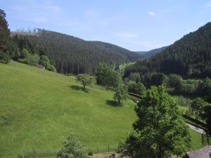 Příroda nedaleko apartmánu