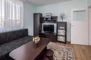 a living room with a couch and a television at Apartments Ivadoni in Velingrad