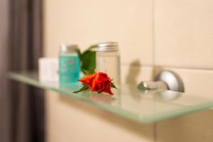 a glass shelf in a bathroom with a red rose on it at Vila Epušė in Palanga