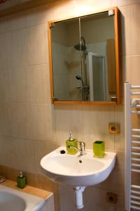 Koupelna v ubytování Apartman Sverana + 24 fotografií
