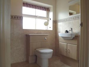 a bathroom with a toilet and a sink and a window at Little welham in Bedale