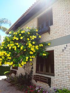 un árbol de flores amarillas frente a una casa en Bombinhas Quinta do Mar Complexo A, en Bombinhas