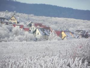 a small town with snow covered houses in a field at Nid de cigognes in Rosheim