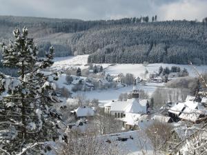 ein schneebedecktes Dorf mit einer Kirche in der Unterkunft Haus Sonnenhügel in Winterberg