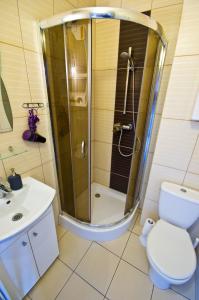 a bathroom with a shower and a toilet and a sink at Apartamenty Pod Dębem in Wicie
